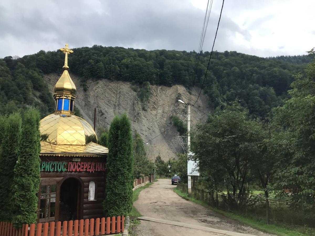 Рукавичка Яремча Экстерьер фото