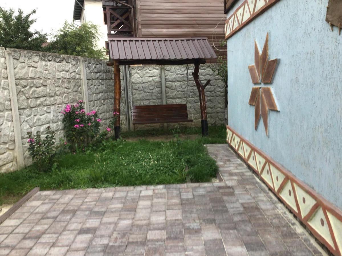 Рукавичка Яремча Экстерьер фото